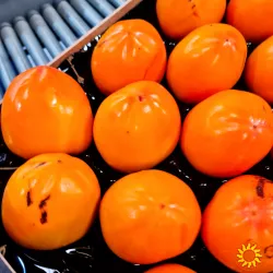 Продаем хурму