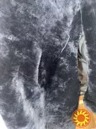 Чорна мутонова жіноча шуба з капюшоном