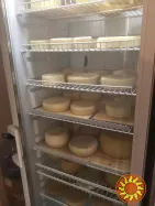 Шоковая заморозка,низькотемпературні камери для переробки сиру