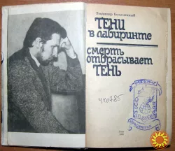 Тени в лабиринте. Смерть отбрасывает тень (Детективные романы)  Владимир Безымянный