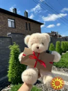 Плюшевий ведмедик з вашим голосом | Подарунок з аудіо-повідомленням (3 кольори)