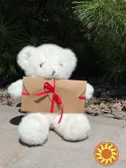 Плюшевий ведмедик з вашим голосом | Подарунок з аудіо-повідомленням (3 кольори)