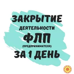 Закрыть ФЛП Днепр и Днепропетровская область за 1 день( недорого )