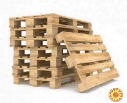 Викуп дерев'яних піддонів бв. Постійний викуп палет і європалет.