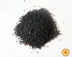 Льон, розторопша, гарбуз, кoнoпля, амарант, насіння на олію , семена лен, расторопша