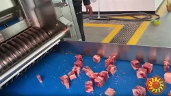 Машина для нарізання замороженого м'яса  STvega Frozen Meat Dicer H430