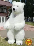 Костюм аниматору Мишка 250 см, свобода движений, обзор, 4 часа работы