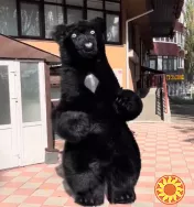 Костюм аниматору Мишка 250 см, свобода движений, обзор, 4 часа работы