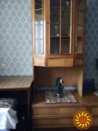 Сдам 2 комнатную квартиру с мебелью долгосрочно в Нежине