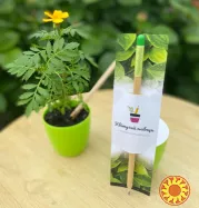 Корпоративні подарунки для рекламних агенцій. Співпраця