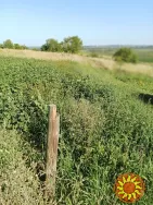 Ділянка під забудову