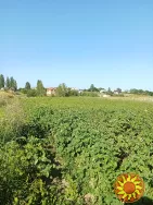 Ділянка під забудову