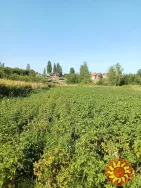 Ділянка під забудову