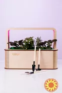 EcoBloom Smart Garden Розумний сад вдома