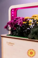 EcoBloom Smart Garden Розумний сад вдома