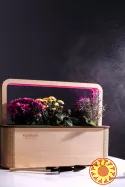 EcoBloom Smart Garden Розумний сад вдома