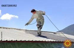 Фарбування дахів: якість, що захищає на роки!