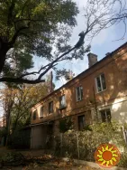 Спилим обрежем деревья, удалим поросли