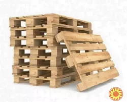 Скупка некондиційних дерев'яних піддонів у Дніпрі.