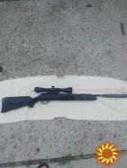 Diana panther 31 professional compact t06