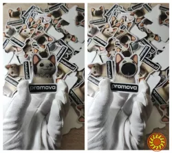 3D Стерео Варіо друк: створюємо зображення, що оживають!