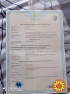 Продам будинок в с. Пістрялово