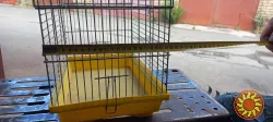Продам клітку для хом’ячків