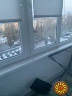 Здам в оренду 1 кімн квартиру