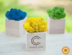 Корпоративні подарунки для банків та партнерів