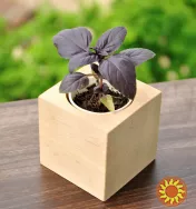 Корпоративні подарунки для агрокомпаній від Екокуб