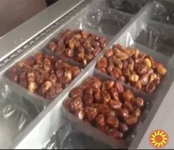 Промисловий автоматичний термоформер STvega Vac Termoformer H460