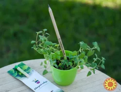 Корпоративні подарунки для IT компаній.