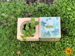 Корпоративні подарунки для IT компаній.