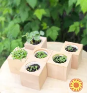 Еко Подарунки для школярів та вчителів