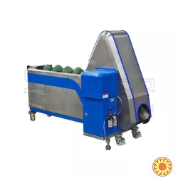 Машина для обрізки броколі, романеско та цвітної капусти STvega Broot Cutting H800