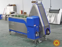 Машина для обрізки броколі, романеско та цвітної капусти STvega Broot Cutting H800