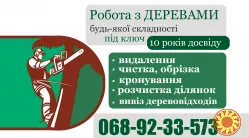 Надаємо послуги з видаленню деревев. Косіння трави, прибирання територій.