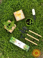 Квітучі олівці з логотипом. Друк на олівцях