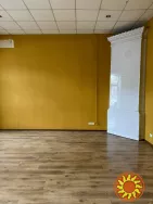 Уникальное помещение 140 кв.м. в престижном р-не на Пушкинской.ЦЕНА СНИЖЕНА НА 70% !!!