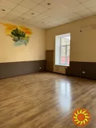 Уникальное помещение 140 кв.м. в престижном р-не на Пушкинской.ЦЕНА СНИЖЕНА НА 70% !!!