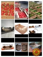 Купить клубничный гофролоток