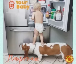 Патронаж новонароджених і дітей раннього віку в Your Family