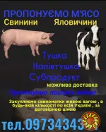 Свіже м'ясо