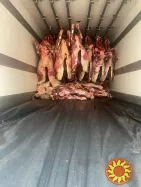 Свіже м'ясо