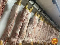 Свіже м'ясо