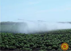 мобільний шланговий  полив и штанговий обприскувач