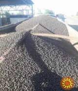 Гранули деревні. Пелети з лушпиння.