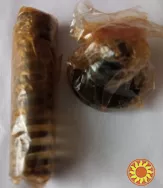 Клапан нагнітальний 9006.3906061 (з пружиною та упором) ЯМЗ-236238