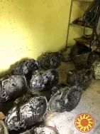 Продаж та ремонт КПП на  Renault Master,