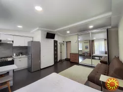 Продам 1-к. в Аркадії/парк Перемоги. Ремонт.Меблі.Техніка